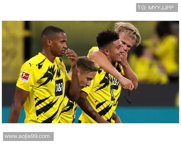 足球新星进球统计规则解析如何计算新进球星球数